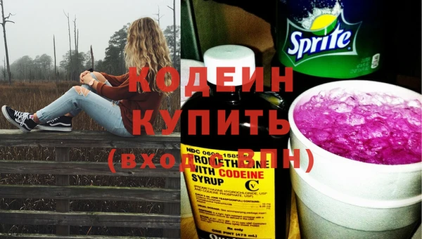 шишки Вязники